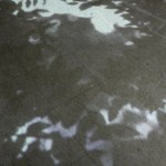 http://clients.lightizm.com/files/gimgs/th-76_71_Nostalgia1_v2.jpg
