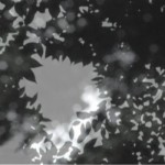 http://clients.lightizm.com/files/gimgs/th-76_71_Nostalgia2_v2.jpg