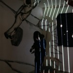 http://clients.lightizm.com/files/gimgs/th-79_DSC02314.jpg